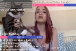 Twitch Streamer Nipple Slip MVP Cat